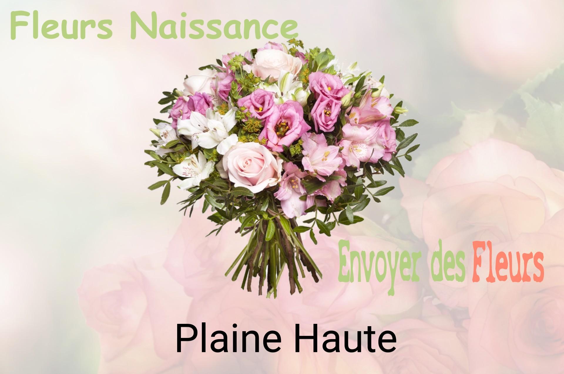 Bouquet de fleurs de naissance livré à Plaine-Haute