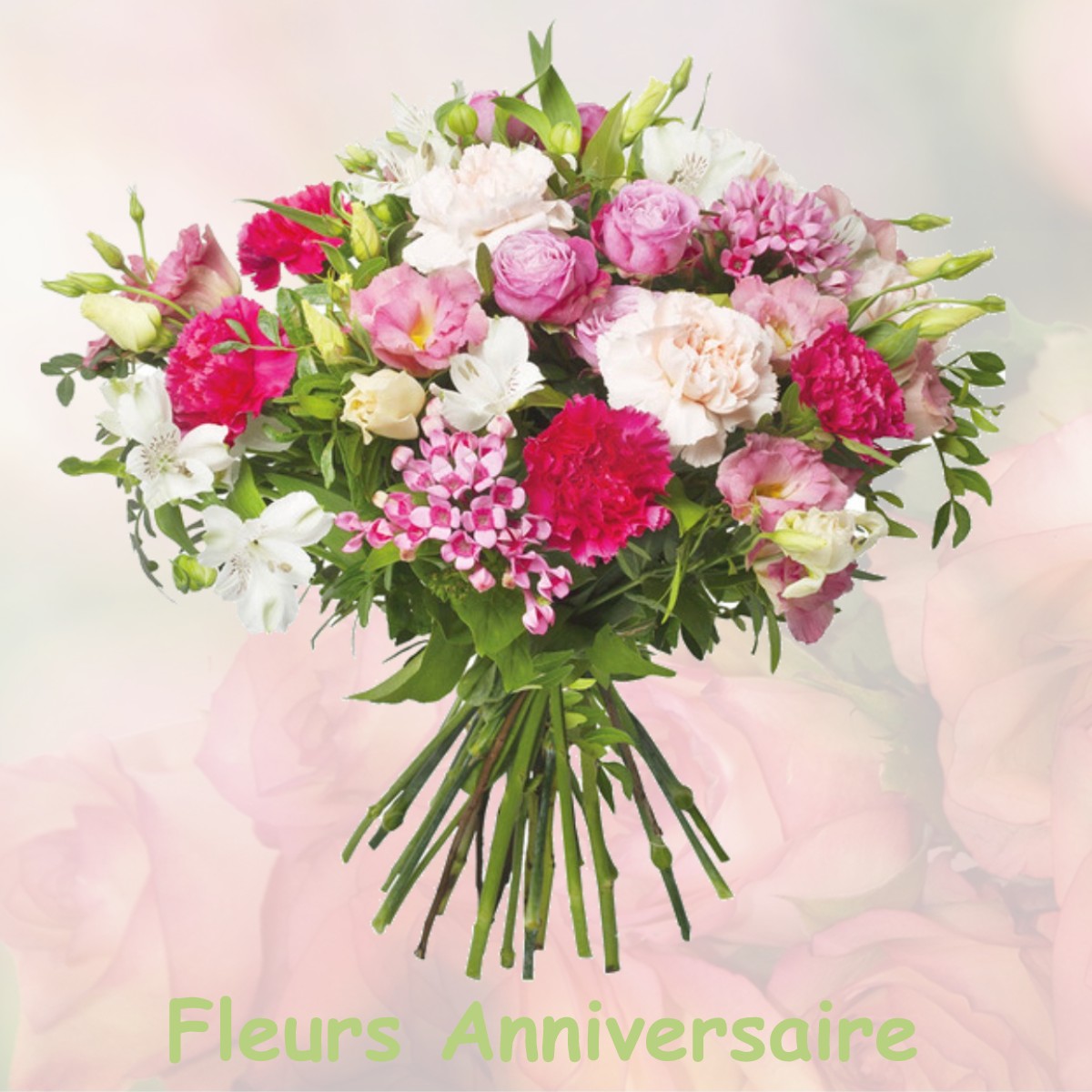fleurs anniversaire PLAINE-HAUTE