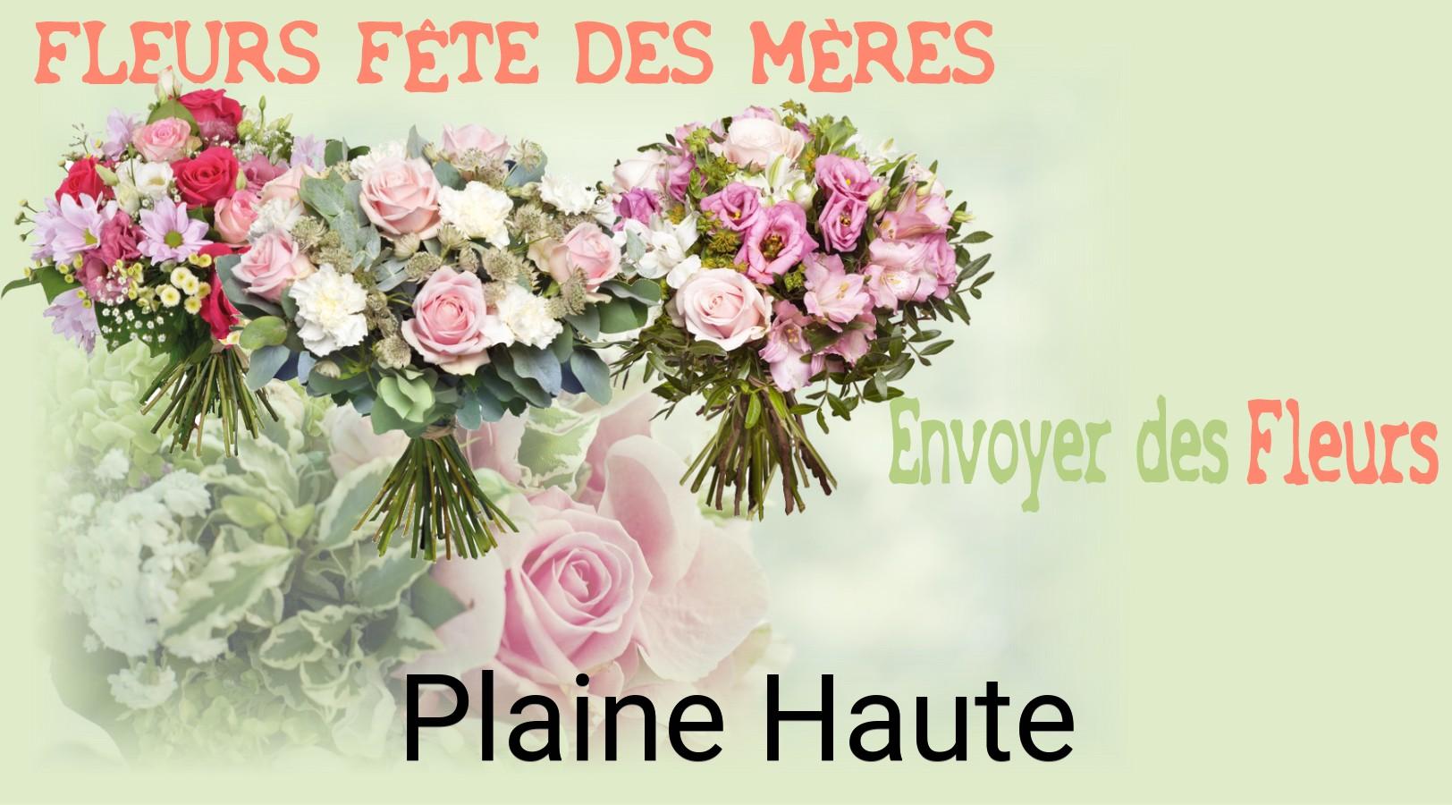 Bouquet de Fête des Mères livré à Plaine-Haute